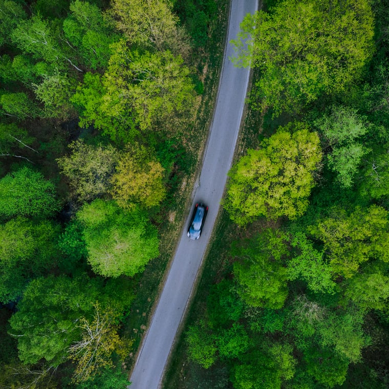 Car Driving on Road in Forest